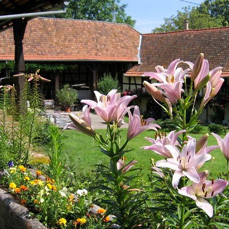 Le gîte des écureuils Schalkendorf Esterno foto
