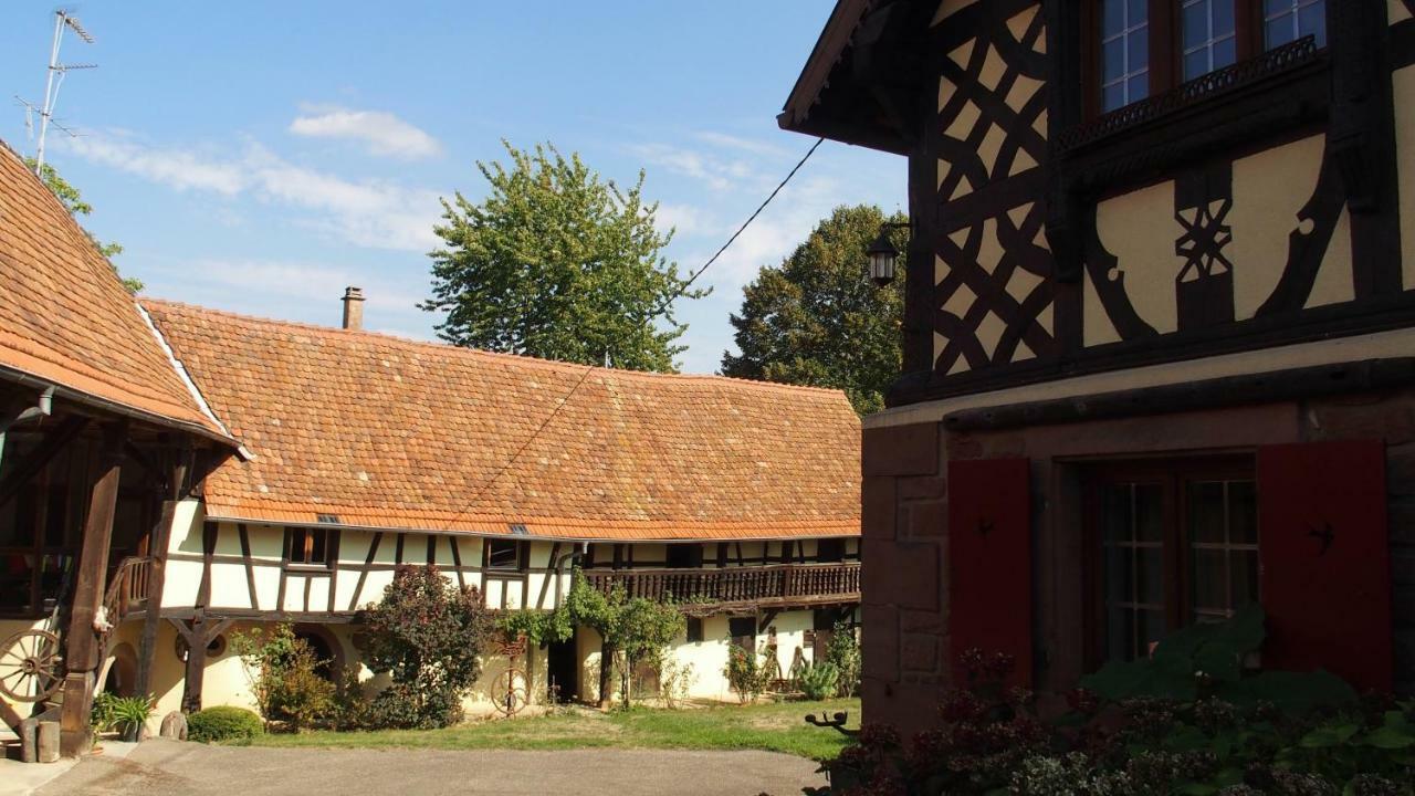 Le gîte des écureuils Schalkendorf Esterno foto