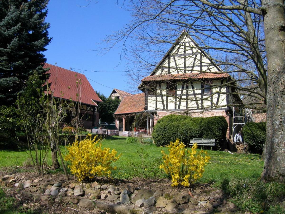 Le gîte des écureuils Schalkendorf Esterno foto